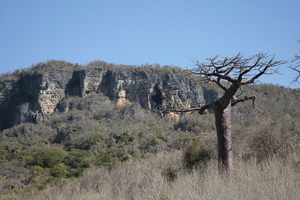 Remote landscape